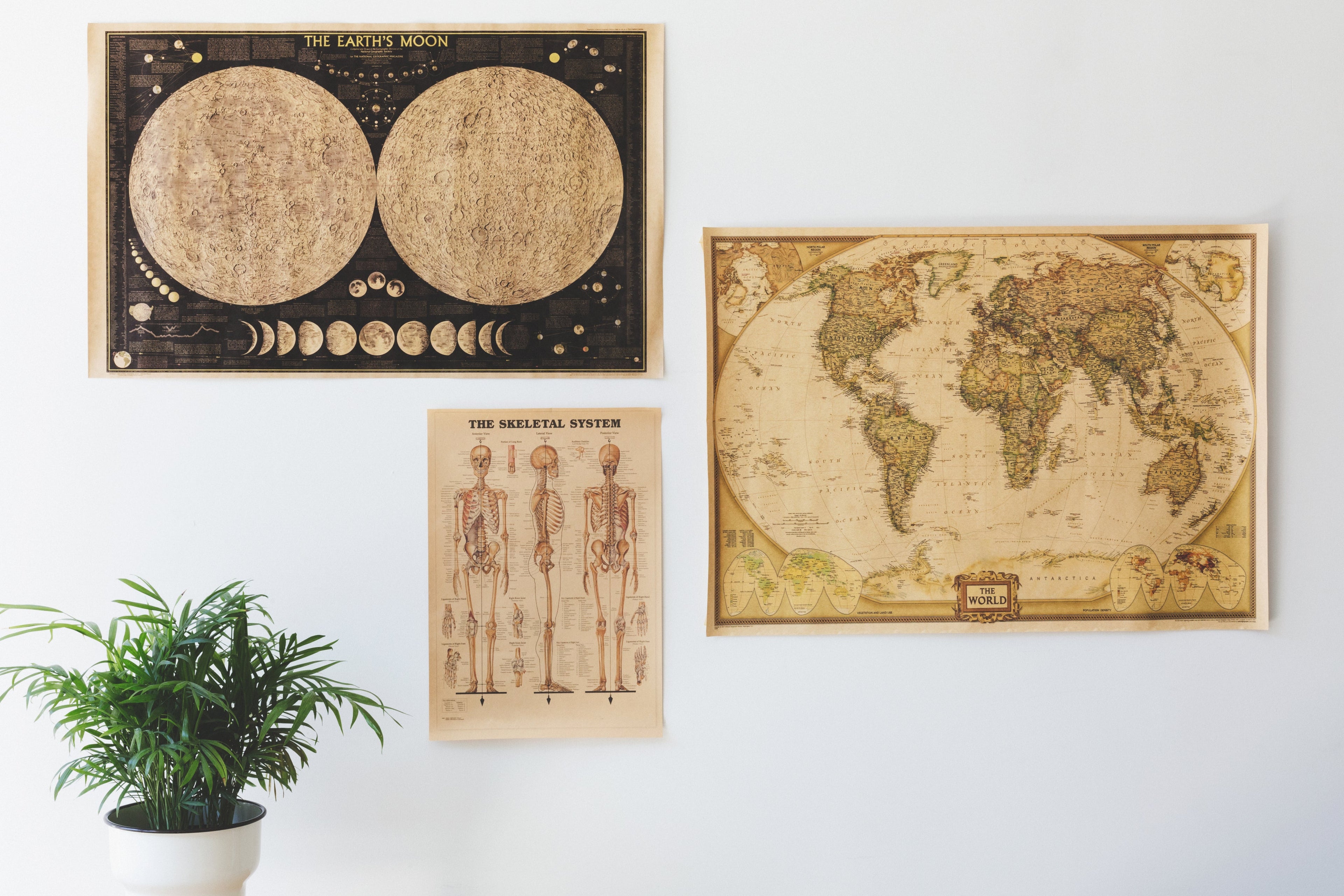 Worry-free shopping experience