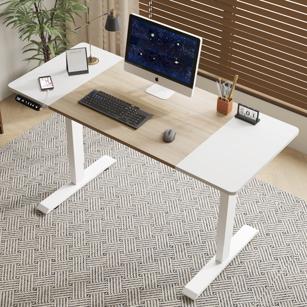 Electric Standing Desk – 55” Height Adjustable Sit-Stand Desk for Home Office & Gaming